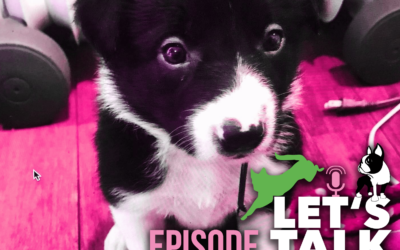 Episode 2 – Puppies! – Part 1