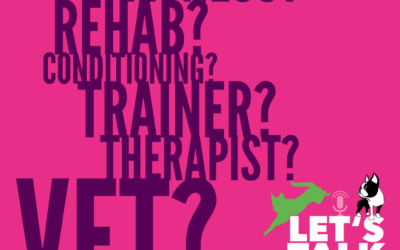 Episode 4 – Is it Fitness or Rehabilitation?