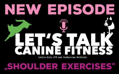 Episode 7 – Shoulder Exercises