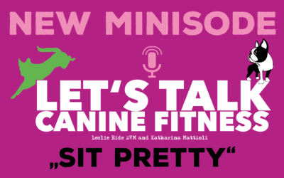 Minisode 6 – What’s up with Sit Pretty?