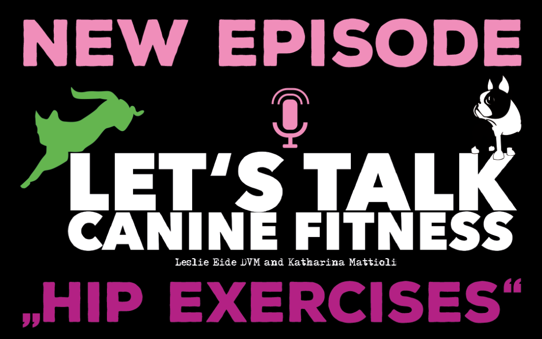 Episode 8 – Hip Exercises