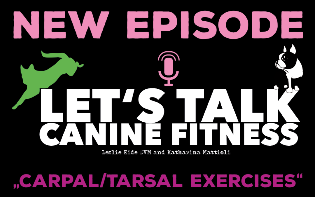 Episode 9 Carpal & Tarsal Exercise (plus some risk)