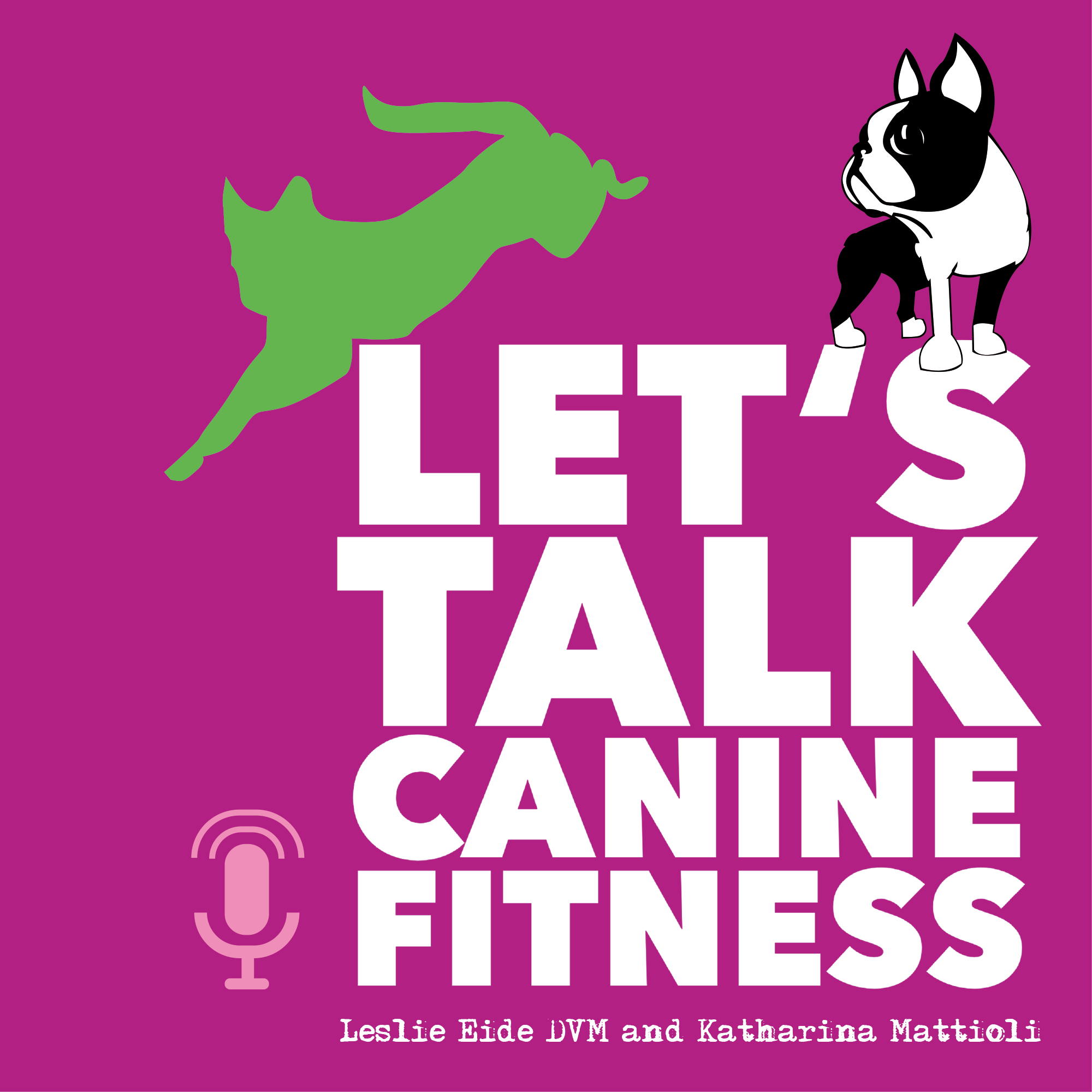 Coming Soon! Let’s Talk Canine Fitness